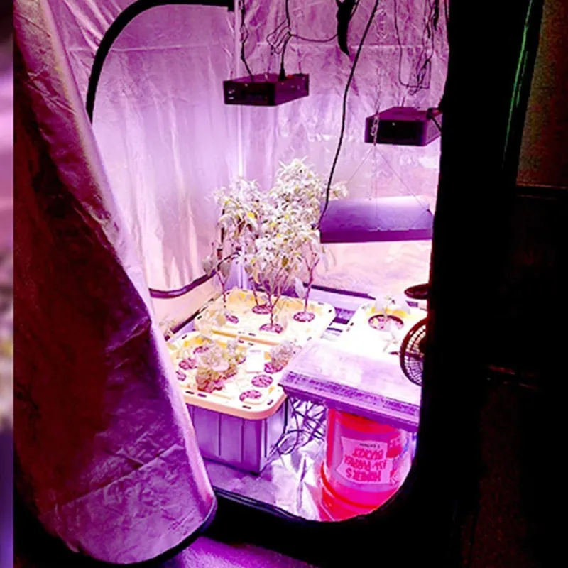 New Trend Grow Tent 4x4 for In - Grow Tent 4X4 review and price