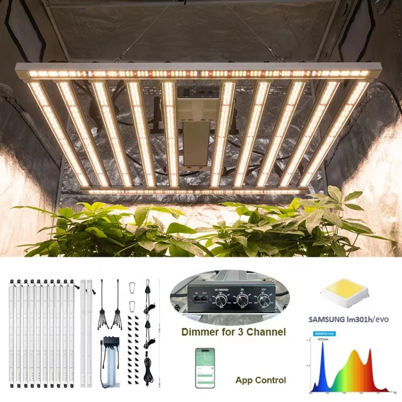 4x4 Growing Tent Complete Kit  - Grow Tent 4X4 review and price
