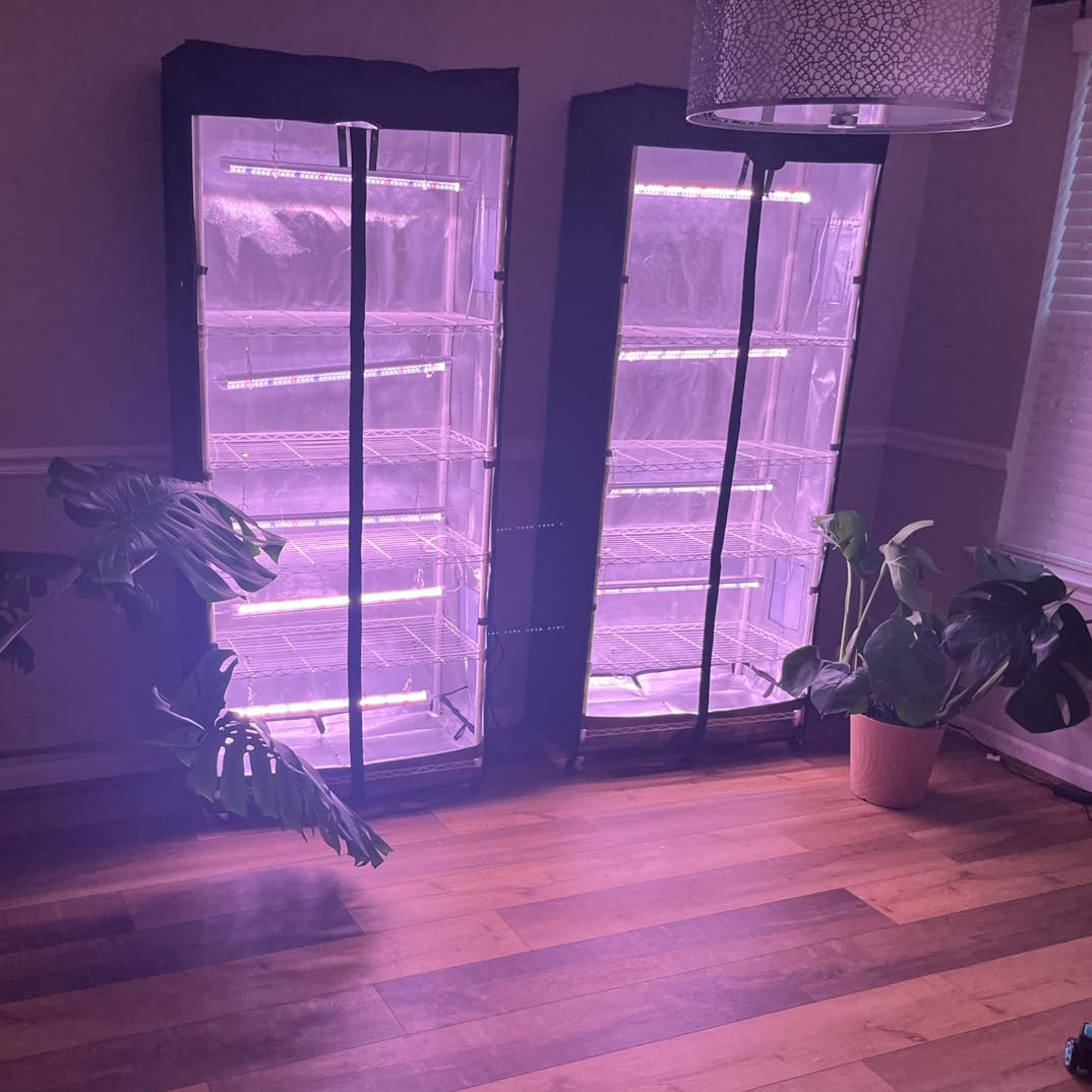 Movable vegetable and mushroom - Grow Tent 4X4 review and price