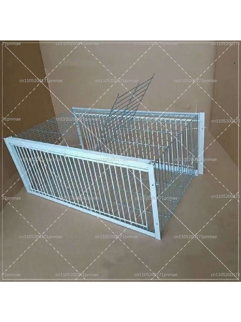 Professional Multifunctional B - Urban Farming Gardening review and price